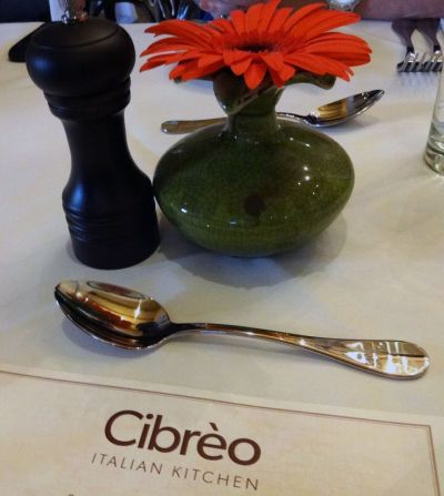 Adoption Network Cleveland to Host Benefit and Silent Auction at Cibreo Italian Kitchen