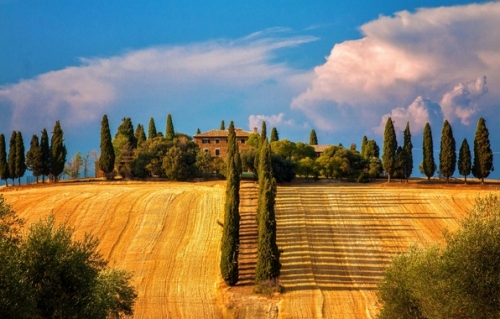 Tuscany landscape