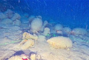 Discovered a Roman Vessel in Mediterranean Sea