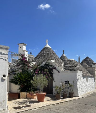 <div class="buttonTitle"><div class="roundedlIcon white mbianco mprest"></div></div>Vita di Paese by Joanna Lucarino