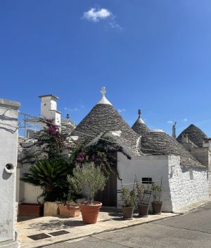 <div class="buttonTitle"><div class="roundedlIcon white mbianco mprest"></div></div>Vita di Paese by Joanna Lucarino