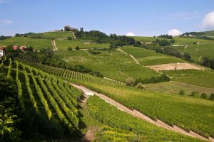 Langhe, Piedmont