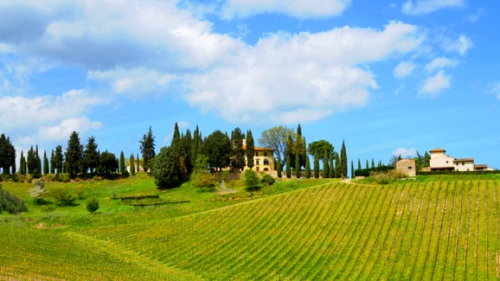 Italy&#039;s Top Wine Regions