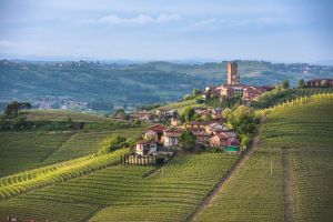 Piedmont vineyards and Barbaresco town/istock.com