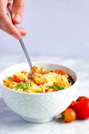 Orzo Pasta with Tomatoes,  Basil and Parmesan