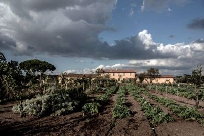 <div class="buttonTitle"><div class="roundedlIcon white mbianco mprest"></div></div>A Look Back: A Wine Tale