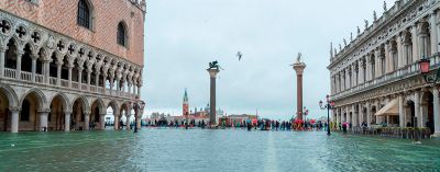 Support NIAF&#039;s Venice Relief Fund Today