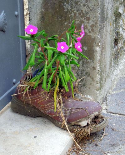 La Passione dei Fiori