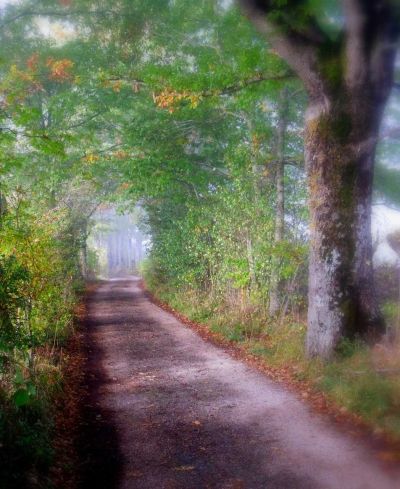 Vita di Paese: A Trip to the farm