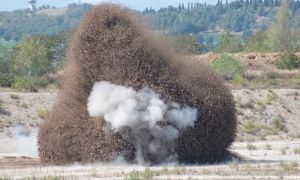 Orbetello in Tuscany, attacked by midges