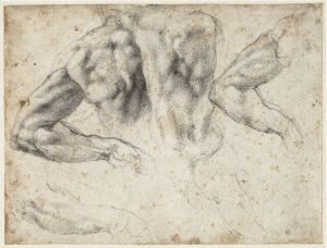 Study of the back and left arm of a male nude for the tomb of Giuliano de’ Medici, 1523–24. Black chalk; 19.2 x 25.7 cm