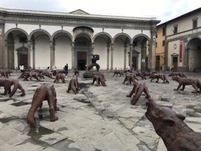 Packs of Wolves in Florence