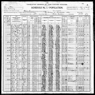 In this 1900 Census record of the Italian immigrant community of Lowellville, OH,  Census Taker Porter Watson struggled to record the Italian population and is a good illustration  of the challenges in using Census records. For example, he recorded the name of a family  from Italy as “Fitzdale.”