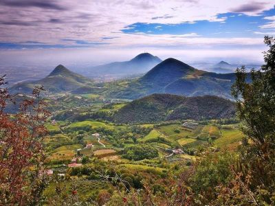 Letters from Veneto: Moonlight Oil and LoVivo