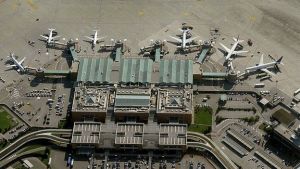 Seagulls have occupied the runways of Venice airport