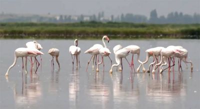 AP Photo/ Niccolo&#039; Luppone