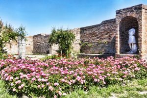 On the Cover: Italian Rose Gardens