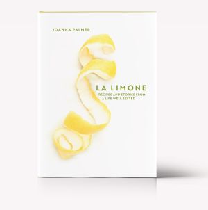 <div class="buttonTitle"><div class="roundedlIcon white mbianco mprest"></div></div>La Limone