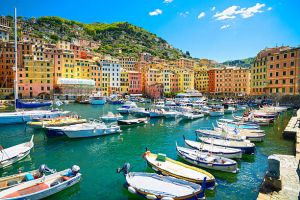 On the Cover: Camogli