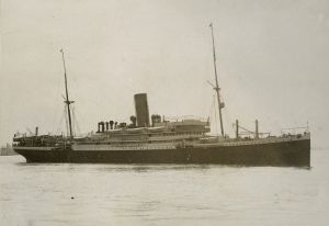 Finding a passenger list with your ancestor&#039;s name on it is an important piece of one&#039;s family history. With it, you can usually find an image of the steamship they sailed to America on!