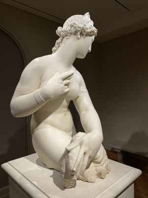 Photos by Joanna Lucarino